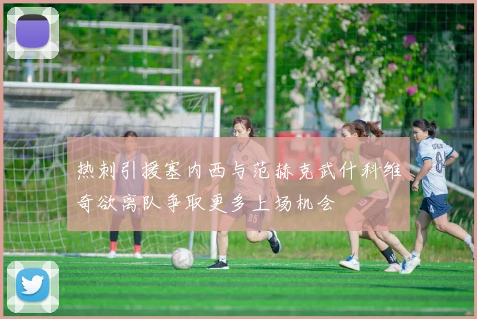 热刺引援塞内西与范赫克武什科维奇欲离队争取更多上场机会