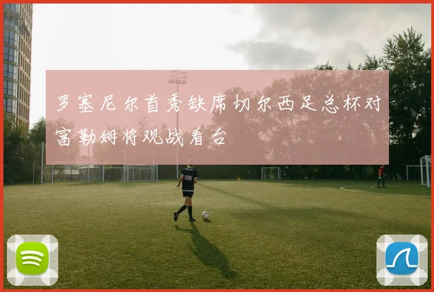 罗塞尼尔首秀缺席切尔西足总杯对富勒姆将观战看台